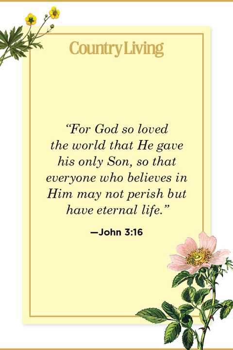 Quote from John 3:16
