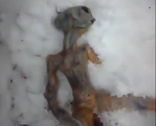 Dead-Alien-Discovered-in-Russia.png