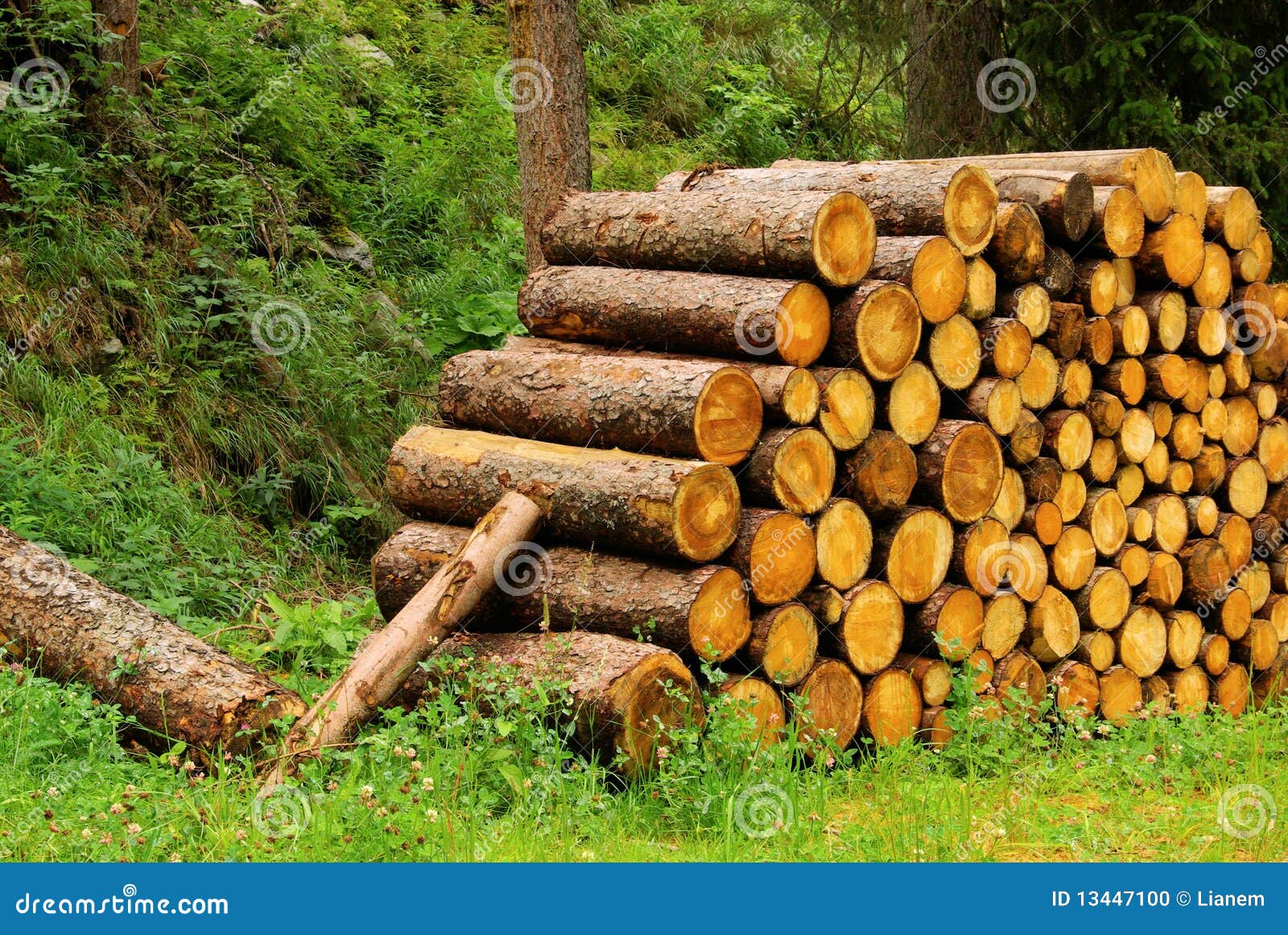 stack-wood-13447100.jpg