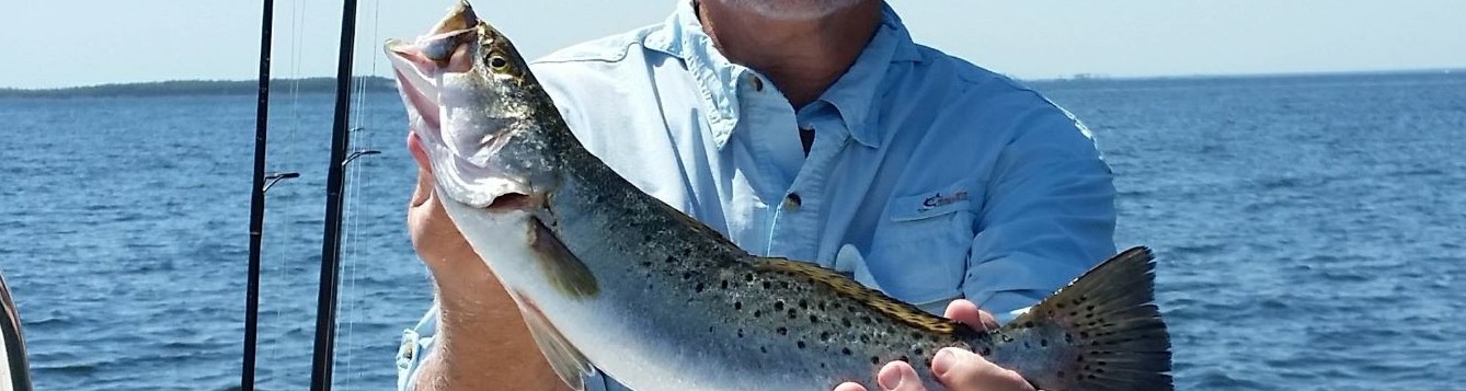 trout-small.jpg