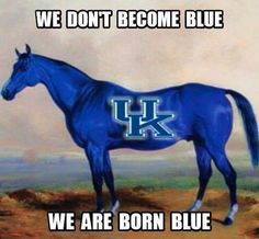 e13e7531b6a9b14e4187d7a2850f416b--kentucky-blue-and.jpg