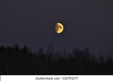 yellow-waxing-gibbous-moon-rising-260nw-533793277.jpg