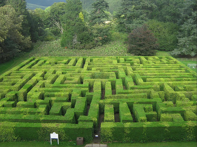 Traquair_House_Maze.jpg