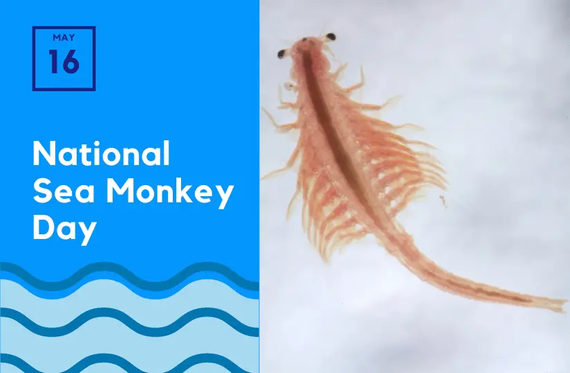 National-Sea-Monkey-Day.jpg