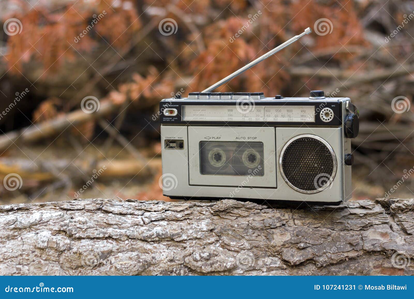 old-radio-cassette-recorder-branch-woods-old-radio-cassette-recorder-branch-woods-amman-107241231.jpg
