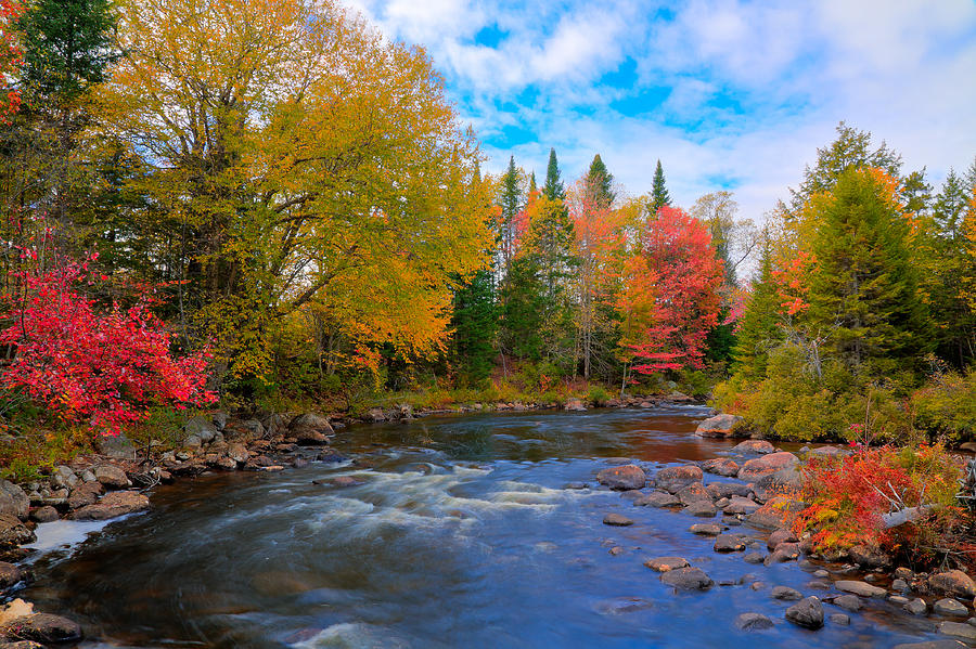 the-moose-river-on-a-beautiful-fall-day-david-patterson.jpg