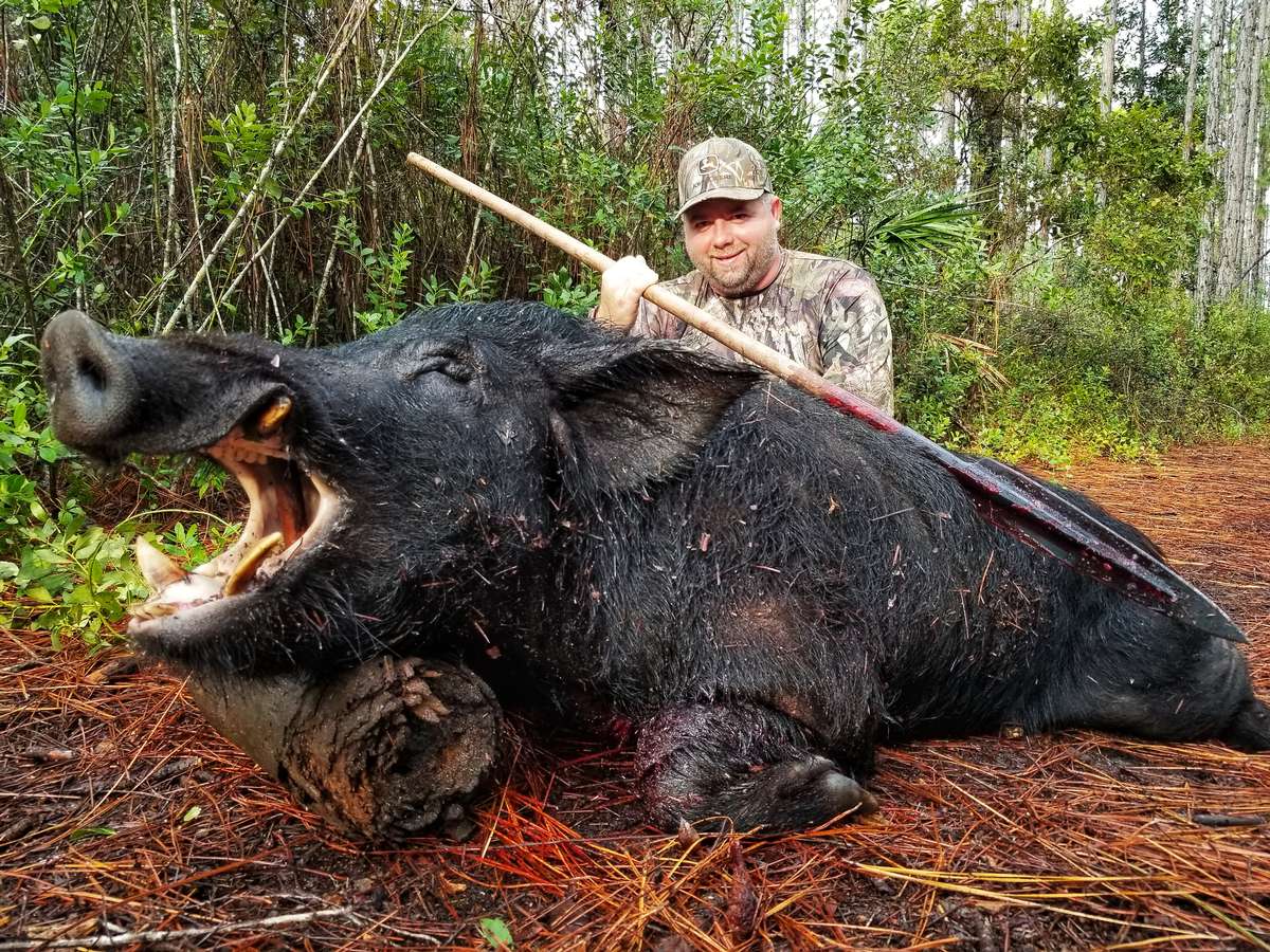 florida%20trophy%20hog%20hunting.jpeg