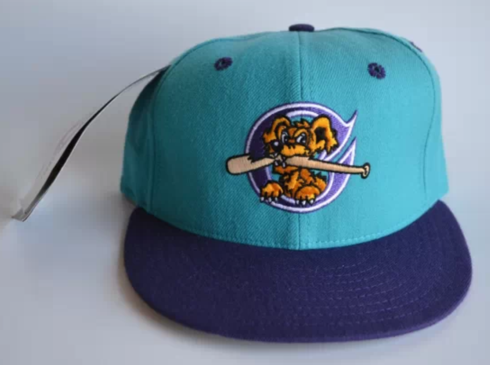 charleston-riverdogs-front.png