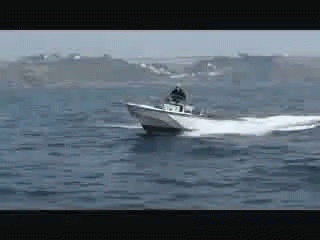 whaler-boat.gif