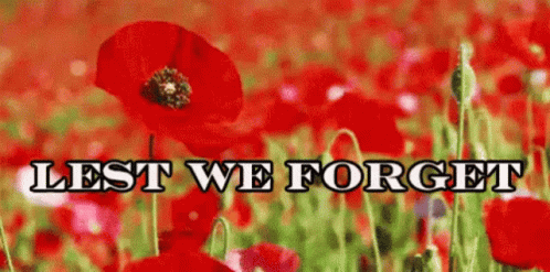 remembrance-day-lest-we-forget.gif