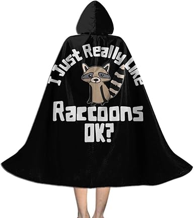 Amazon.com: Kids Hooded Cape Cloak Funny Raccoon Cloak for Children for  Halloween: Clothing