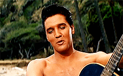 Elvis-in-Blue-Hawaii-1961-elvis-presley-41700595-250-154.gif
