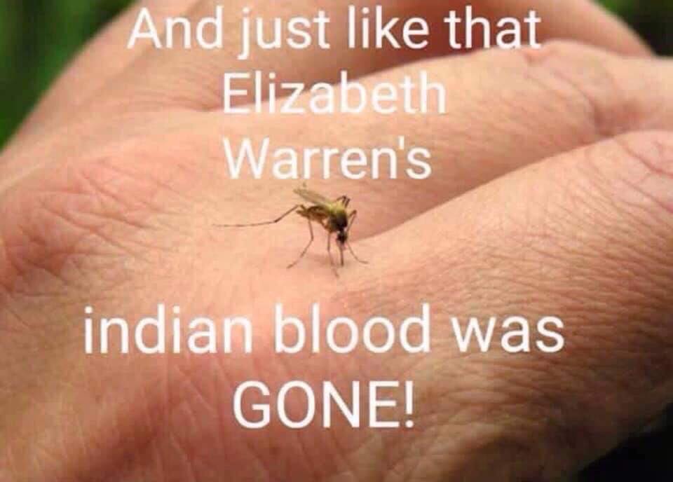 possibly_the_best_elizabeth_warren_indian_meme_ever_constructed_under_budget_and_ahead_of_schedule.jpg