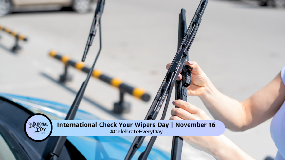 international-check-your-wipers-day--november-16.png