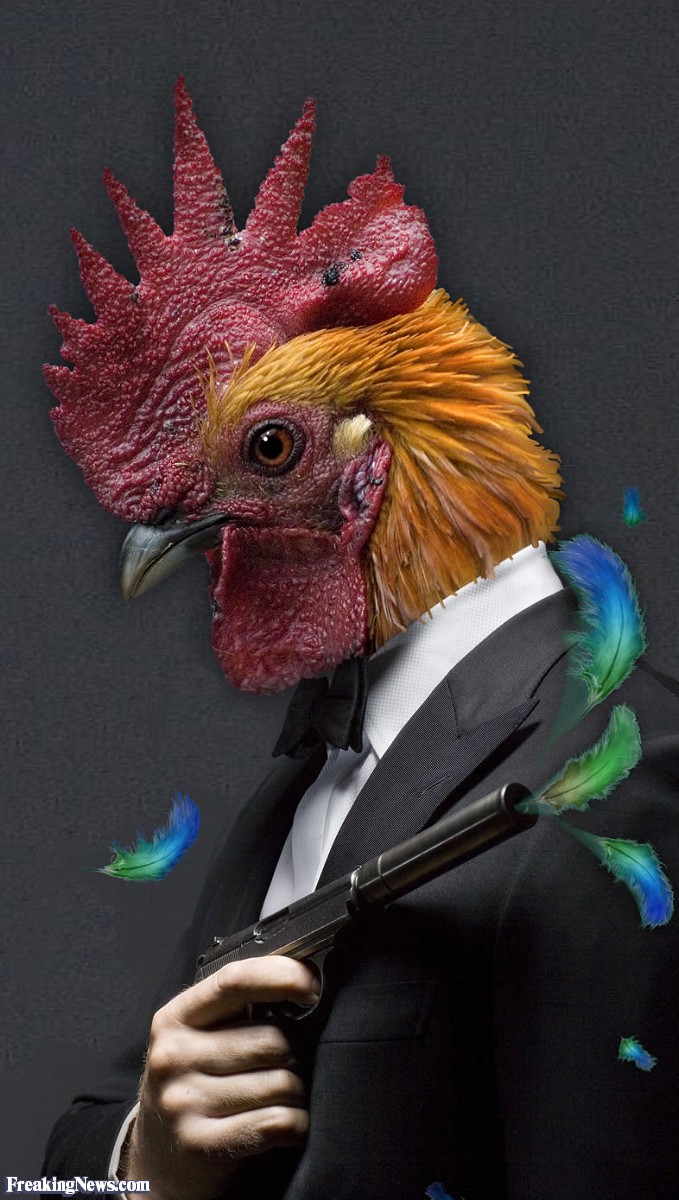 4553572-rooster-man-with-gun--53782.jpg