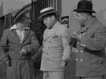 the-three-stooges-curly.gif