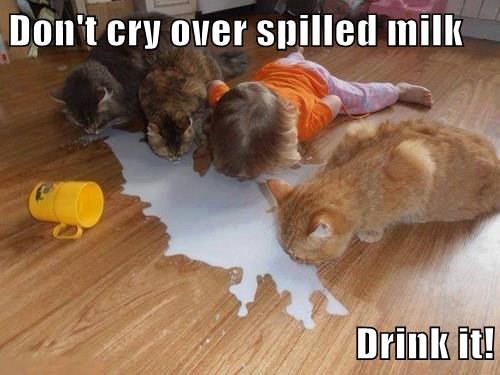 dont-cry-over-spilled-milk-drink-it