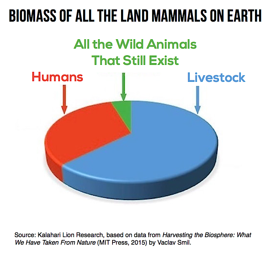 biomass-humans-livestock-for-ig.png