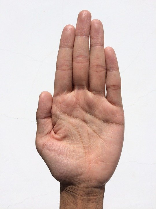 palm-human-hand-creases-lines.jpg