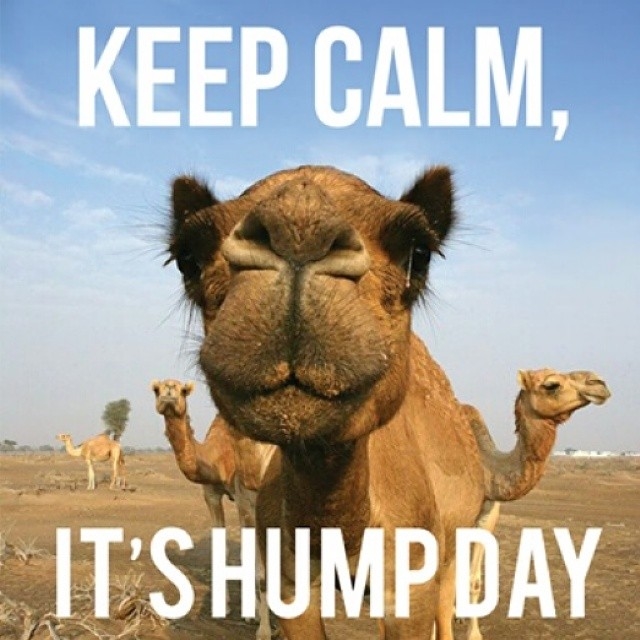 101843-Keep-Calm-It-s-Humpday.jpg