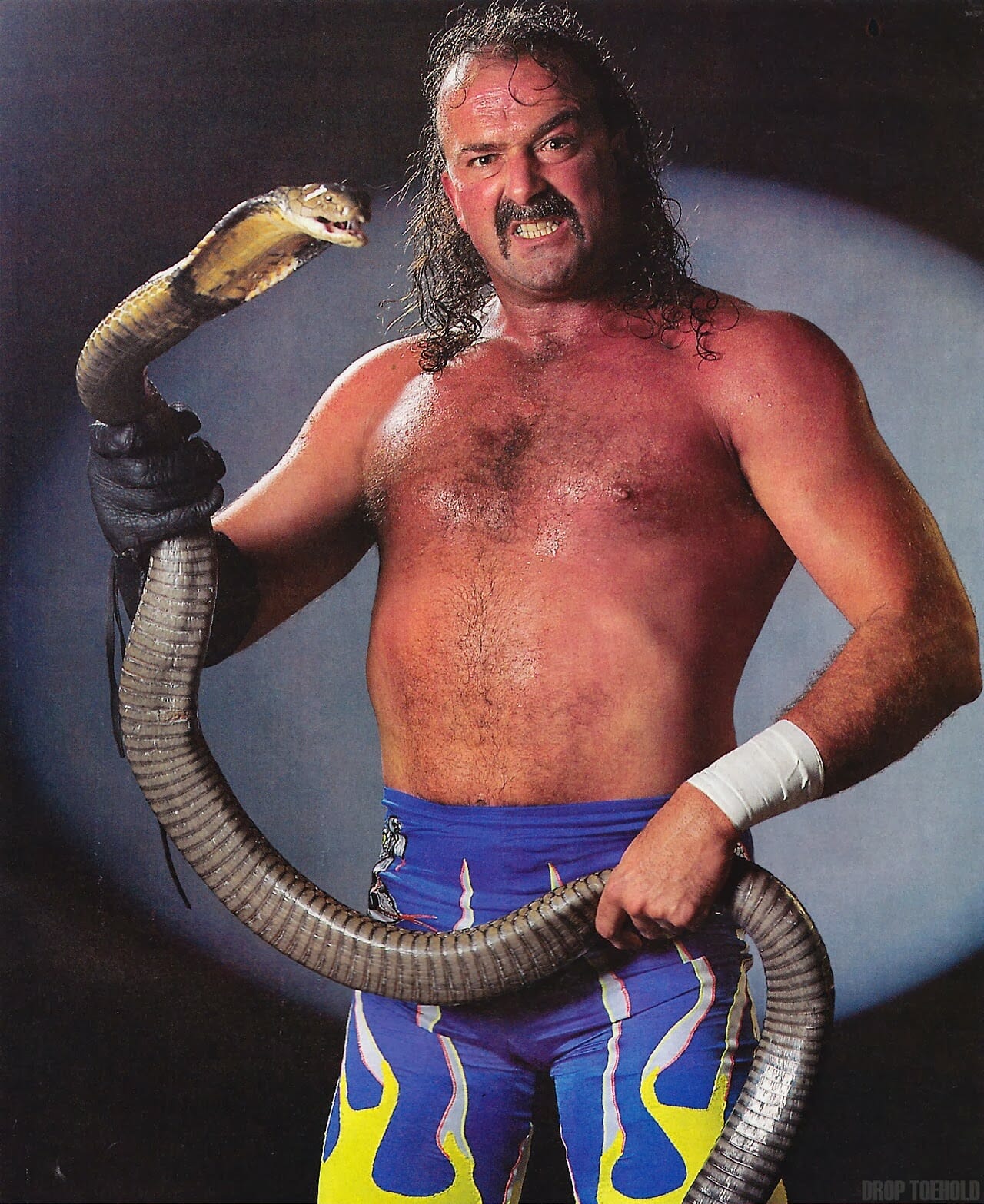 Jake-Roberts-with-snake.jpg