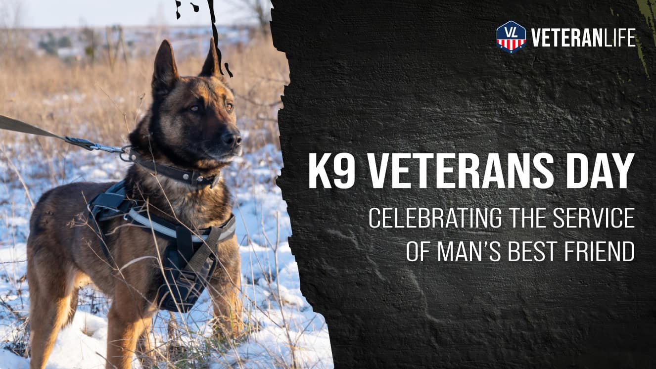 VL-K9-Veterans-Day-HERO.jpg