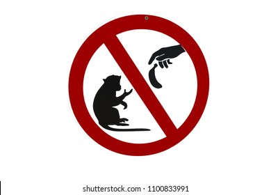 do-not-feed-monkeys-other-260nw-1100833991.jpg