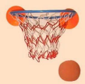 basketball_hoop%255B1%255D.jpg
