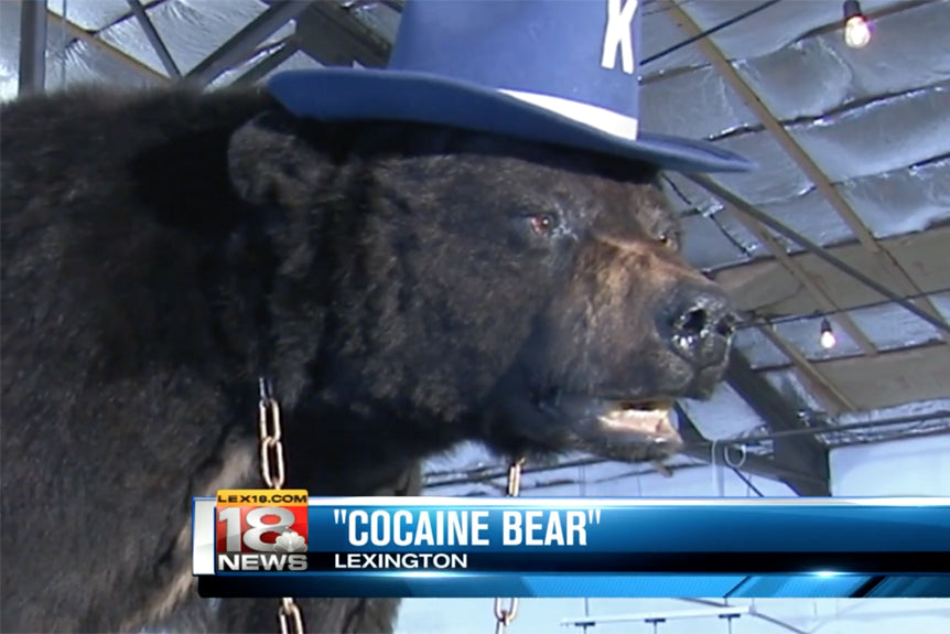 Cocaine-Bear-LEX18_1024x1024.jpg