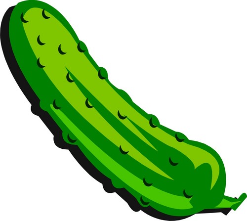 pickle-clipart-pickle-pickles-27629021-500-447.jpg