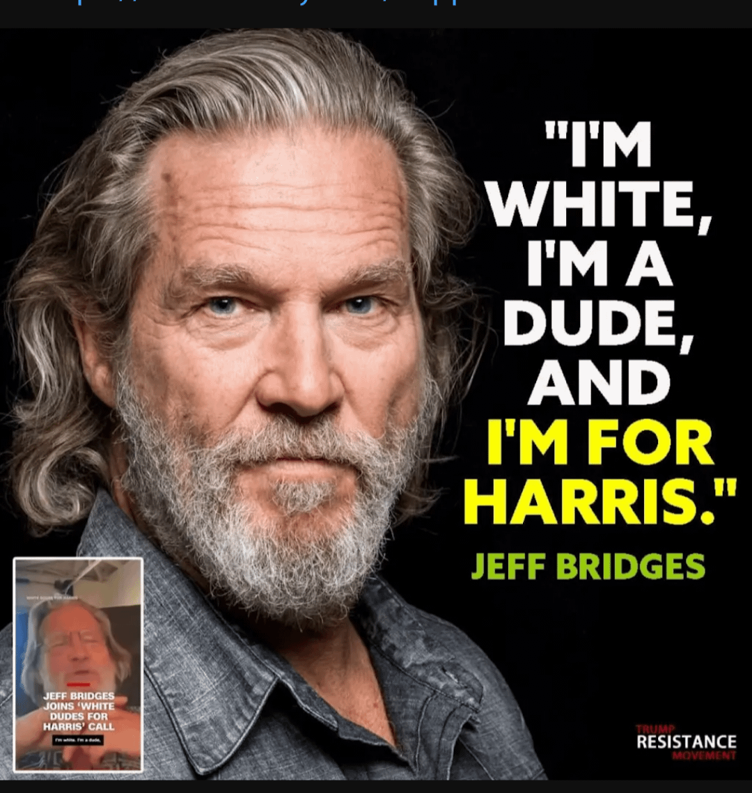 the-dude-abides-kamala-harris-2024-v0-06it0vg2gwgd1.png