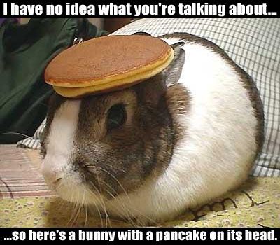 400pancake_bunny_zps07acf392.jpg