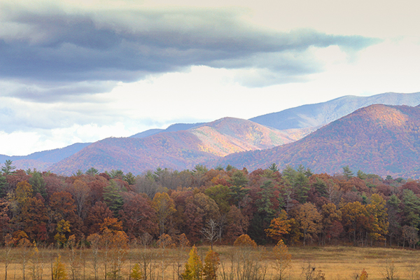 Cades-Cove-1-11052013.jpg