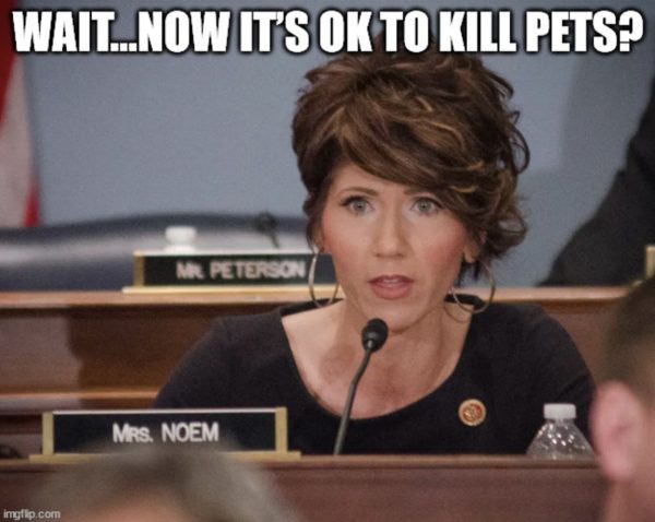 kristi_noem_peanut_11-4-24-600x478.jpg