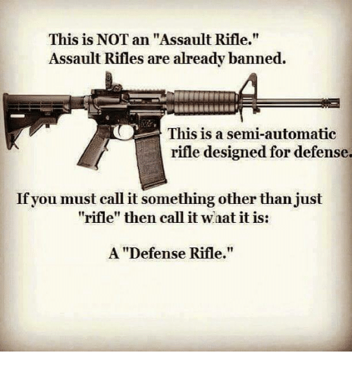 Not-an-Assault-rifle.png