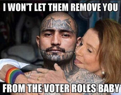 nancy-pelosi-i-wont-let-them-remove-you-from-the-voter-roles-baby-ms-13.jpg