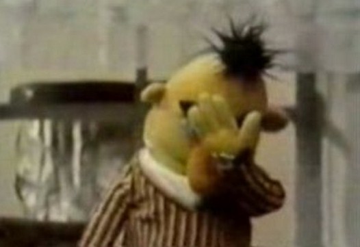 facepalm-bert.jpg