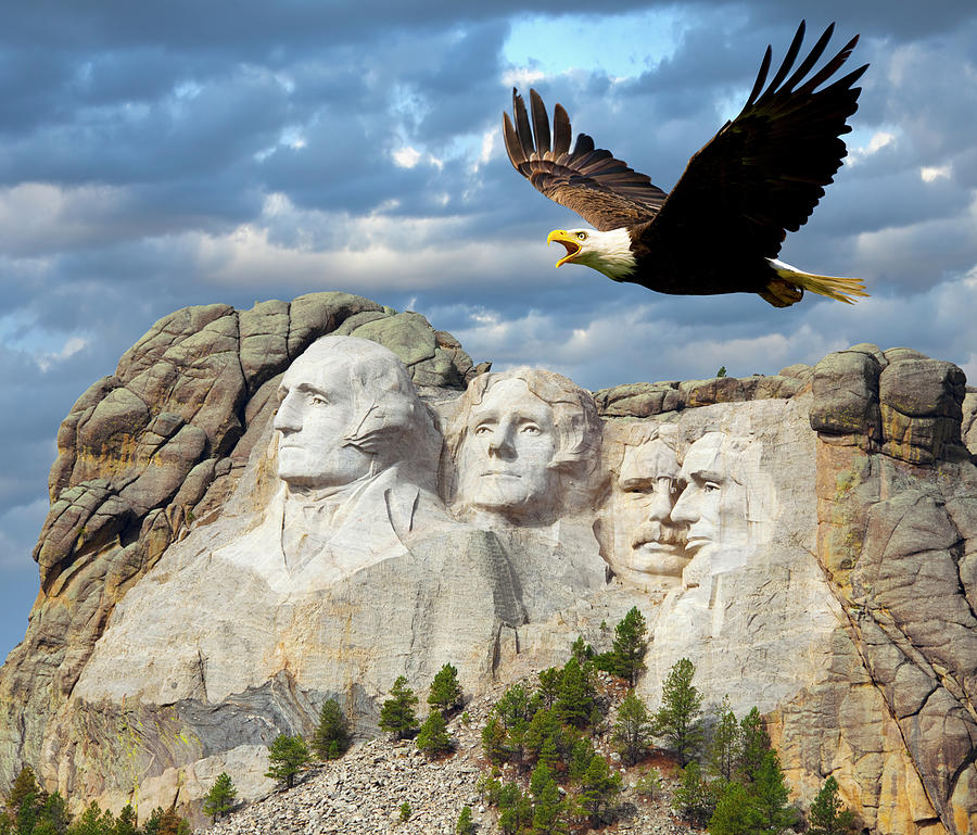 bald-eagle-americas-national-bird-soars-with-mt-rushmore-in-background-james-brey.jpg