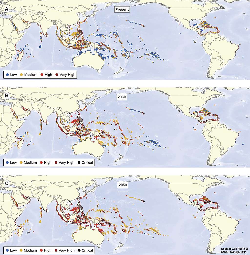 coralreefs_2-lg.jpg