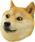 doge.png