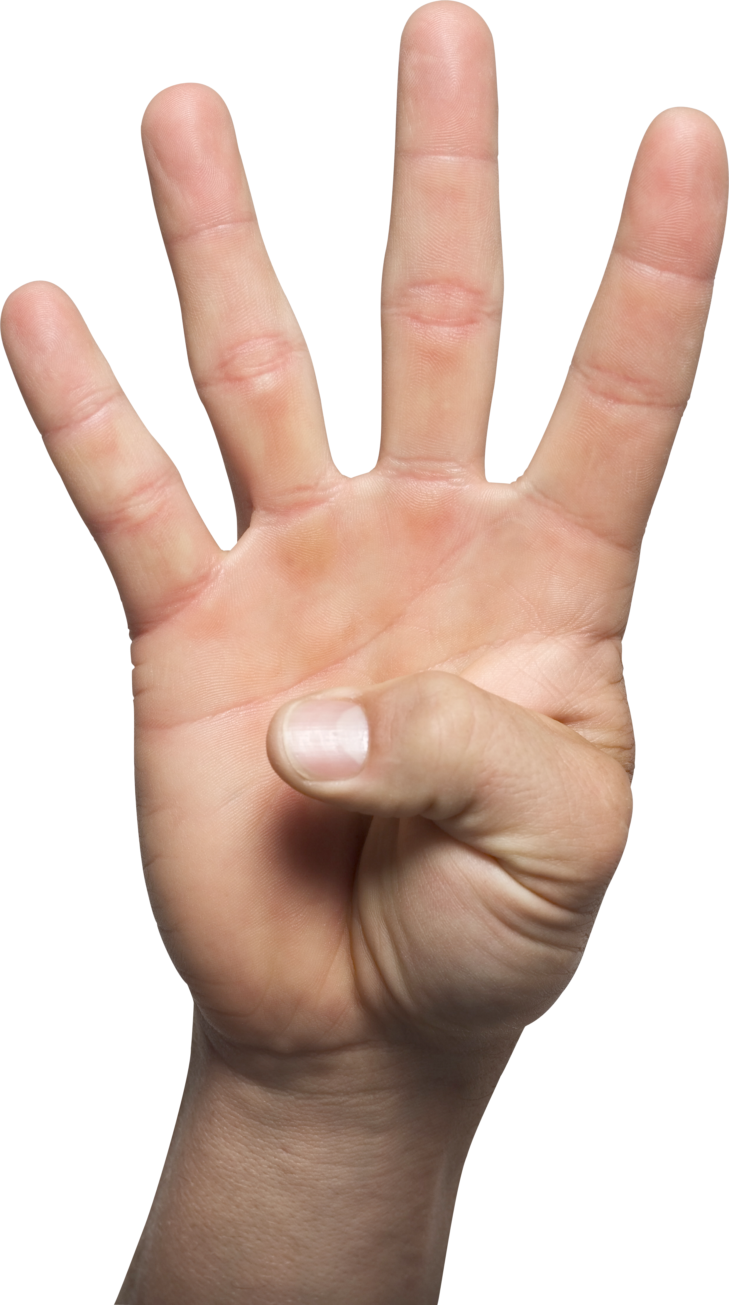 hands_PNG98524.png