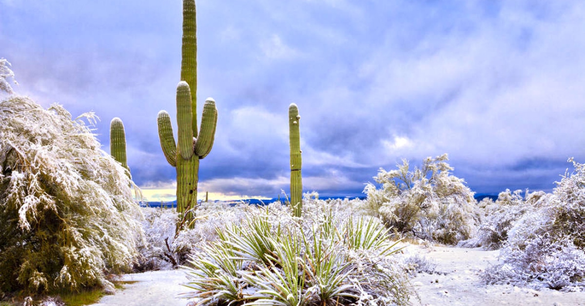 snow-in-arizona-thumbnail.jpg