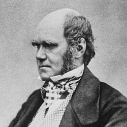 darwin-charles-large.jpg