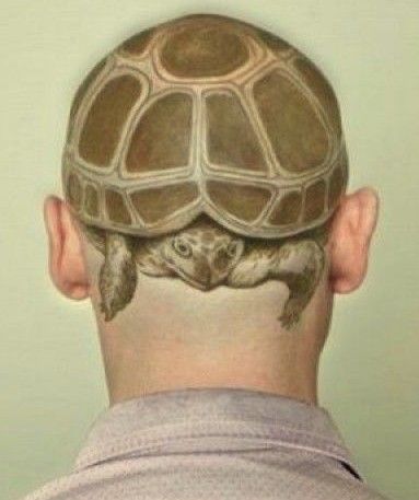 11633000ae2e35e59400e5bee66295ca--turtle-tattoos-head-tattoos.jpg