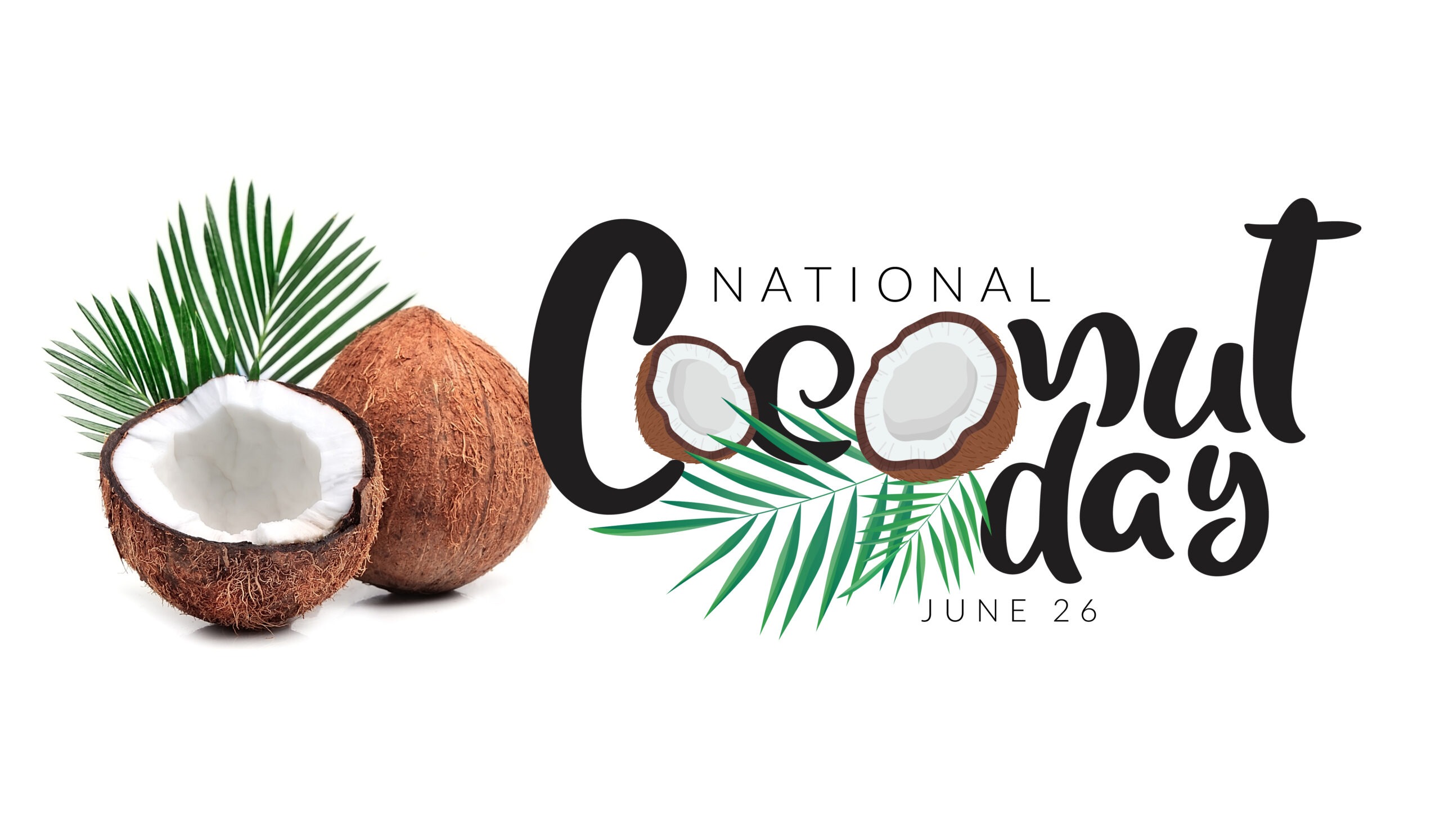 Coconut-1200x700-banner-22-22-scaled.jpg
