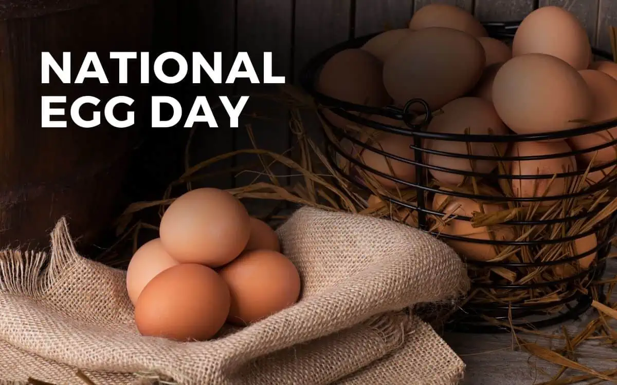 national-egg-day.jpg