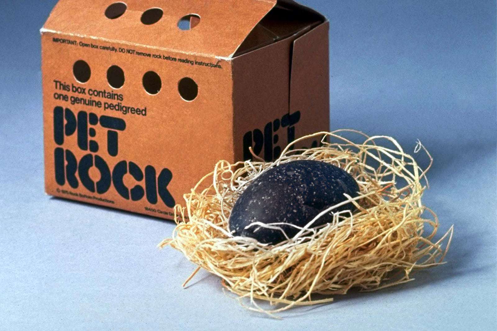 The-history-of-the-Pet-Rock-novelty-toy-gag-gift.jpg