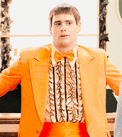 Dumb And Dumber GIF by Jim Carrey