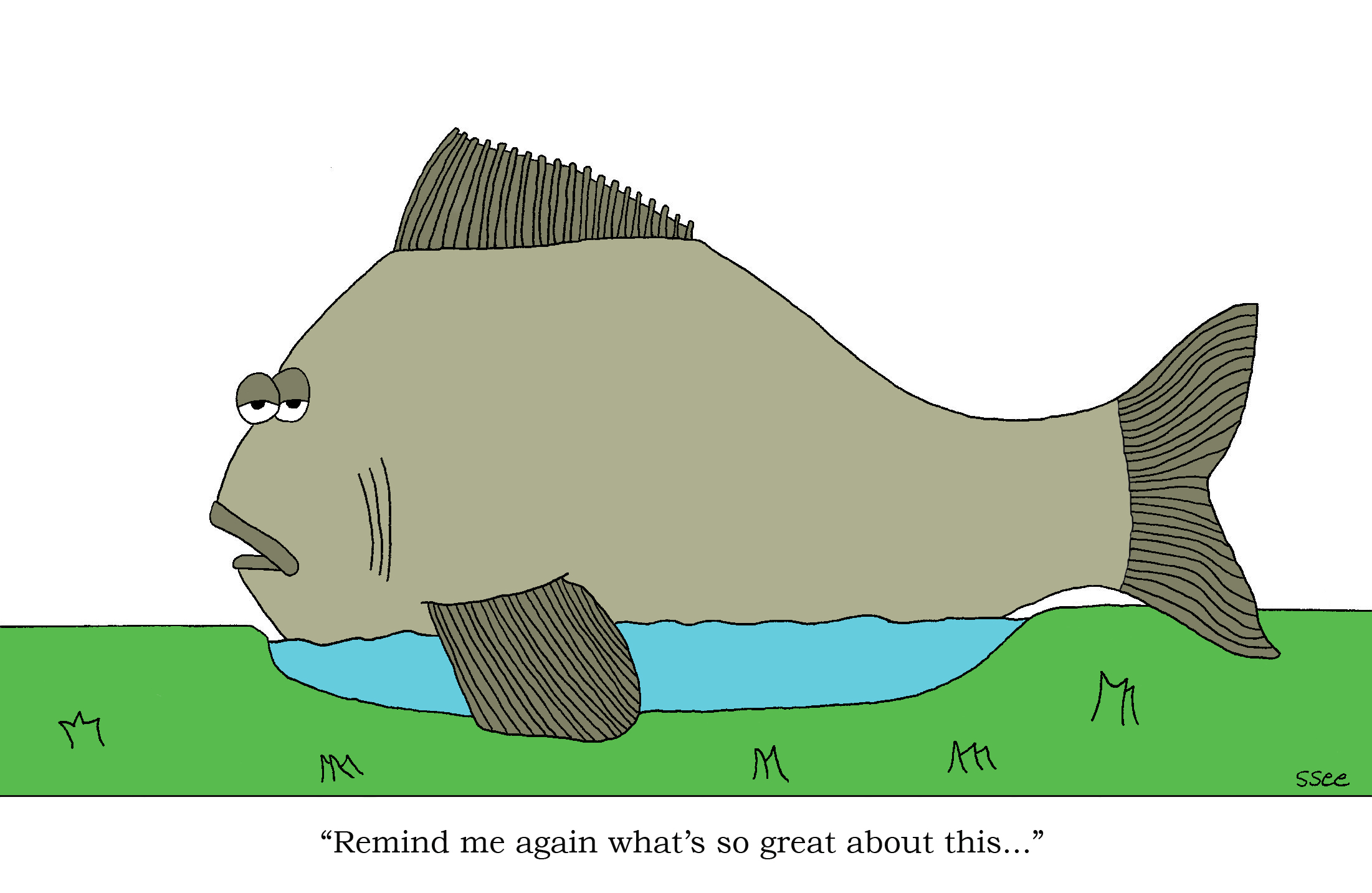 big-fish-in-a-small-pond.jpg