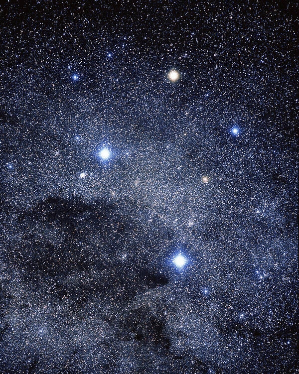 the-constellation-of-the-southern-cross-luke-dodd.jpg
